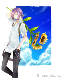 Rule 34 | 1boy, belt, black belt, black pants, blacksmith (ragnarok online), blue sky, border, buttons, cigarette, closed mouth, cloud, collared shirt, commentary request, copyright name, day, feet out of frame, flower, green eyes, hand in pocket, holding, holding flower, looking at viewer, loose belt, male focus, outside border, pants, pointy ears, purple hair, ragnarok online, shirt, short hair, short sleeves, sky, smile, solo, studded belt, sunflower, wane (ruki), white border, white shirt, yellow flower