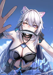 1girl absurdres animal_ear_fluff animal_ears bare_shoulders bikini bikini_top_only black_bikini black_sarong blue_eyes blue_sky breasts cat_ears collarbone commentary_request day fish hair_ornament halterneck highres honkai_(series) honkai_impact_3rd kamishiro_noa kiana_kaslana kiana_kaslana_(herrscher_of_finality) kiana_kaslana_(selenic_ripples) large_breasts light_blush long_hair looking_at_viewer midriff mouth_hold official_alternate_costume one_eye_closed outdoors pink_pupils sarong sky solo swimsuit very_long_hair white_hair