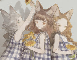 3girls animal_ear_fluff animal_ears arm_up black_bow blonde_hair blunt_bangs bow braid brown_eyes brown_hair dress flower fox_ears fox_girl green_eyes grey_hair holding holding_flower long_hair looking_at_viewer medium_hair multiple_girls nekosuke_(oxo) original parted_bangs plaid_clothes plaid_dress shadow sideways_glance single_braid sleeveless sleeveless_dress sunflower upper_body yellow_eyes