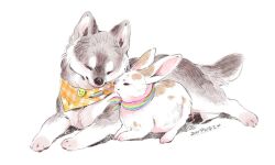 Rule 34 | animal, animal focus, animalk, closed eyes, commentary, dog, husky, neckerchief, no humans, original, pawpads, rabbit, rainbow flag, signature, simple background, symbol-only commentary, white background
