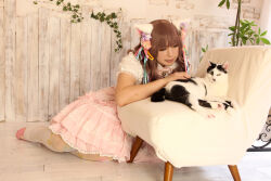 Rule 34 | 1girl, animal ears, asian, brown hair, cat ears, chouzuki maryou, highres, lipstick, makeup, photo (medium), plump, solo
