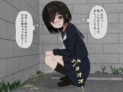 1girl black_hair black_serafuku black_shoes black_skirt black_socks brown_eyes commentary_request from_side full_body long_sleeves looking_at_viewer neckerchief open_mouth original outdoors panties panty_pull pee peeing ruthe_citruslab school_uniform serafuku shoes skirt socks solo sound_effects speech_bubble squatting sweatdrop thought_bubble translation_request underwear white_neckerchief white_panties