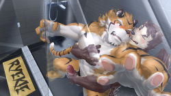 2boys abs anal animal_ears bara behind_another beige_fur blush brown_fur completely_nude couple dog_boy erection facial_hair foot_out_of_frame foreshortening furry furry_male furry_with_furry goatee groping handjob highres large_pectorals live_a_hero male_focus male_penetrated male_protagonist_(live_a_hero) male_pubic_hair mature_male multiple_boys muscular muscular_male navel nipples no_mask nude orange_fur pectoral_grab pectorals penis precum pubic_hair ryekie_(live_a_hero) sex short_hair skarltano stomach tail thick_eyebrows tiger_boy tiger_ears tiger_tail twitching_penis uncensored yaoi