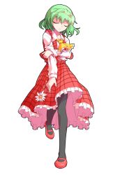 1girl black_pantyhose dairi full_body green_hair highres kazami_yuuka pantyhose red_eyes red_shoes red_skirt red_vest shirt shoes short_hair skirt solo tachi-e touhou umbrella vest white_shirt