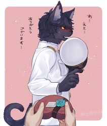 1boy 1other aizawa_(nh_st) black_fur black_hair blush body_fur box box_of_chocolates cat_boy claws coat commentary_request cowboy_shot furry furry_male gift hat heart-shaped_box highres holding holding_gift holding_unworn_clothes holding_unworn_hat looking_to_the_side male_focus original peaked_cap pink_background pov short_hair standing tail translation_request unworn_hat unworn_headwear valentine white_coat yellow_eyes