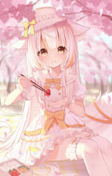1girl absurdres animal_ear_fluff bento blunt_bangs blurry blurry_background bow bowtie cherry_blossoms chopsticks commentary_request dress garter_straps hat hat_bow highres holding holding_chopsticks incoming_food long_hair looking_at_viewer multicolored_hair orange_bow orange_bowtie orange_hair original picnic_blanket short_sleeves thighhighs very_long_hair white_dress white_hair white_thighhighs wlswlp wrist_cuffs yellow_bow yellow_bowtie
