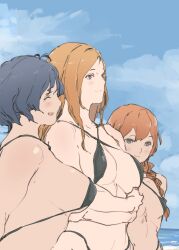 3girls arms_under_breasts baba_konomi beach bikini black_bikini blue_hair blue_sky braid breasts brown_hair closed_eyes closed_mouth criss-cross_halter day halterneck height_difference highres idolmaster idolmaster_million_live! long_hair meme momose_rio multiple_girls ooeyama_ken open_mouth outdoors short_hair single_braid sky smile standing string_bikini swimsuit toyokawa_fuka wanima_photo_(meme)