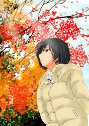 1girl amagami autumn black_eyes black_hair bob_cut coat female_focus leaf looking_up murasaki_iro nanasaki_ai short_hair solo tree
