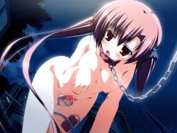 00s 1girl all_fours bdsm bitch_taken_for_walk blush breasts brown_hair censored chain chain_leash collar female_focus game_cg h2o_footprints_in_the_sand hair_ornament hanging_breasts kagome leash long_hair makura_(company) mosaic_censoring night nipples nude open_mouth outdoors pet_play petgirl pussy red_eyes sex_toy sky solo tabata_yui twintails vibrator