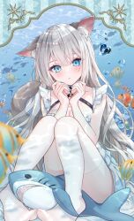 1girl animal_ear_fluff animal_ears blue_eyes blue_nails blush breasts cat_ears cat_girl cat_tail cleavage clownfish commentary dress fish full_body grey_hair highres knees_up long_hair looking_at_viewer nail_polish no_shoes original parted_lips shark sitting solo symbol-only_commentary tail thighhighs tina_oekaki underwater white_dress white_thighhighs