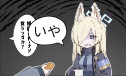 Rule 34 | 2girls, animal ear fluff, animal ears, armband, black gloves, blonde hair, blue archive, blue armband, blue eyes, blue necktie, breasts, clenched teeth, collared shirt, donut, dydldidl, food, gloves, hair over one eye, halo, highres, holding, holding food, jacket, kanna (blue archive), konoka (blue archive), long hair, long sleeves, multiple girls, necktie, notched ear, open clothes, open jacket, shaded face, sharp teeth, shirt, simple background, solo focus, speech bubble, teeth, translation request