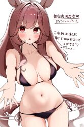 Rule 34 | 1girl, absurdres, animal ears, bikini, black bikini, blush, breasts, brown hair, collarbone, commentary request, gentildonna (umamusume), hair down, highres, horse ears, horse girl, horse tail, large breasts, long hair, motion lines, ponta (1859ysmssstsp), red eyes, simple background, solo, swimsuit, tail, translation request, umamusume, white background
