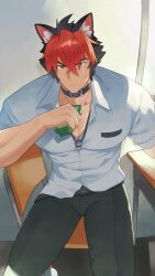 Rule 34 | 1boy, animal ear fluff, animal ears, belt collar, black collar, black hair, black pants, chair, closed mouth, collar, collarbone, collared shirt, commentary request, crossed bangs, desk, feet out of frame, frown, hair between eyes, highres, holding, holding juice box, jewelry, juice box, komano manato, looking at viewer, male focus, multicolored hair, necklace, open collar, pants, red eyes, red hair, sanpaku, scar, scar across eyes, scar on chest, scar on face, school chair, school desk, school uniform, shirt, short hair, short sleeves, sitting, solo, two-tone hair, veins, veiny hands, wing collar, xingdrdr, zenless zone zero