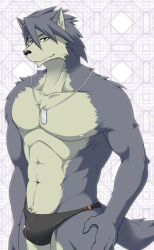 1boy abs animal_ears bara black_male_swimwear bulge closed_mouth commentary_request dog_boy dog_ears dog_tags dog_tail furry furry_male ig1119 jewelry kouya_aotsuki looking_at_viewer male_focus male_swimwear morenatsu muscular muscular_male navel necklace nipples pectorals swim_briefs tail