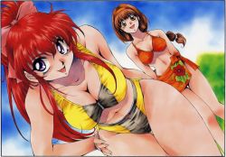 2girls arms_behind_back bent_over bikini blue_eyes bow breasts brown_eyes brown_hair cleavage downblouse dutch_angle female_focus hair_bow hairband hand_on_own_hip highres inoue_sora large_breasts long_hair midriff mitsurugi_ryouko multiple_girls navel no_eyewear open_mouth pink_bow ponytail purple_eyes real_bout_high_school red_hair ribbon sarong smile swimsuit tankini thigh_gap thighs yuuki_hitomi