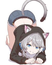 1girl animal_ear_fluff animal_ears ass bare_legs barefoot belt black_belt blue_eyes cat_ears cat_tail cipher_(honkai:_star_rail) commentary crop_top cropped_hoodie denim denim_shorts english_commentary grey_hair grin highres honkai:_star_rail honkai_(series) hood hoodie long_sleeves looking_at_viewer midriff prickly-chan_(ycactussprout) short_shorts shorts smile solo tail thighs