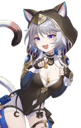 absurdres animal_ear_fluff animal_ears bell between_breasts black_gloves black_leotard blue_eyes braid breasts cat_ears cat_girl cat_tail cipher_(honkai:_star_rail) cleavage cleavage_cutout clothing_cutout coin fingerless_gloves gloves grey_hair highres holding holding_coin honkai:_star_rail honkai_(series) hood large_breasts leotard long_sleeves looking_at_viewer mole mole_on_breast money_between_breasts open_mouth short_hair simple_background single_braid smile tail thigh_strap watarurikka white_background