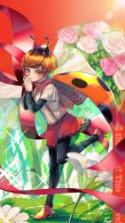 1girl antennae arthropod_girl bad_id bad_twitter_id black_pantyhose brown_eyes brown_hair brown_hat bug commentary dew_drop english_commentary female_focus flower glint hands_up hat highres insect kashu_(hizake) ladybug ladybug_wings layered_sleeves leaf leg_up lens_flare long_sleeves looking_at_viewer mini_person minigirl nail_art nail_polish orange_hair original own_hands_together pantyhose parted_lips pink_flower pink_ribbon pink_rose print_pantyhose red_background red_nails red_shoes red_skirt ribbon rose shirt shoes short_hair short_over_long_sleeves short_sleeves skirt smile solo standing standing_on_one_leg suspender_skirt suspenders water water_drop white_flower white_shirt