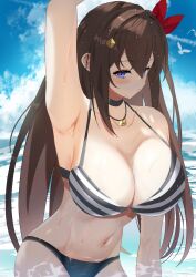 1girl absurdres alternate_breast_size beach bikini bird blue_eyes blue_sky blush bow breasts brown_hair choker cleavage hair_ornament hamadi highres hololive huge_breasts jewelry large_breasts navel necklace ocean red_bow sky solo swimsuit tokino_sora