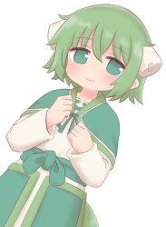 1boy blush broken_horn capelet closed_mouth dress dutch_angle green_capelet green_eyes green_hair green_ribbon hair_between_eyes highres horns long_sleeves looking_at_viewer male_focus naga_u pointy_ears resi ribbon simple_background smile solo summon_night summon_night_2 white_background white_dress