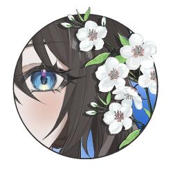 Rule 34 | 1girl, artist request, blue eyes, blush, border, branch, brown hair, chinese commentary, close-up, commentary request, commission, flower, honkai: star rail, honkai (series), looking at viewer, outside border, plum blossoms, portrait, round border, ruan mei (honkai: star rail), second-party source, solo, white flower