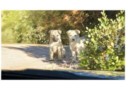 absurdres animal_focus baby_animal bush commentary_request dog highres looking_at_viewer no_humans original outdoors puppy shadow signature sunlight yk_funa