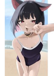 1girl absurdres animal_ears beach black_hair blue_archive blue_one-piece_swimsuit blunt_ends breasts cat_ears cat_girl colored_inner_hair commentary_request competition_swimsuit disuto extra_ears halo highres kazusa_(blue_archive) leaning_forward looking_at_viewer medium_breasts multicolored_hair ocean one-piece_swimsuit open_mouth outdoors pink_eyes pink_hair pink_halo school_swimsuit short_hair solo swimsuit two-tone_hair