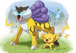 Rule 34 | alternate color, claws, closed eyes, fangs, full body, gen 2 pokemon, gen 4 pokemon, grass, highres, kokumochi kurumi, legendary pokemon, nintendo, no humans, open mouth, outdoors, pokemon, pokemon (creature), pokemon sleep, raikou, red eyes, shinx, shiny pokemon, smile, standing