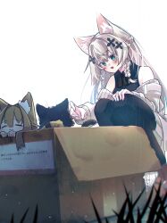 2girls absurdres animal animal_ear_fluff animal_ears bare_shoulders black_cat black_pantyhose black_shirt blonde_hair blue_eyes blush box braid cardboard_box cat cat_ears closed_eyes flower fox_ears fox_girl grass grey_hair hair_between_eyes hair_flower hair_ornament highres in_box in_container long_hair long_sleeves multiple_girls nono_datenshia off-shoulder_sweater off_shoulder open_mouth pantyhose rain shinano_(vrchat) shirt sleeveless sleeveless_shirt smile squatting sweater vrchat white_background white_hair