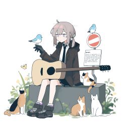 1girl absurdres acoustic_guitar bird black_gloves black_necktie black_skirt blue_bird brown_hair brown_jacket brown_shoes bug butterfly cat closed_mouth collared_shirt commentary english_commentary english_text full_body girls&#039;_frontline gloves guitar highres hood hooded_jacket insect instrument jacket m200_(girls&#039;_frontline) multiple_cats myticalcat necktie pleated_skirt purple_eyes purple_socks road_sign shirt shoes sign simple_background sitting skirt sneakers socks two-tone_socks white_background white_shirt white_socks yellow_butterfly