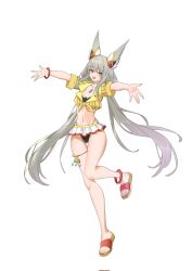 Rule 34 | adapted costume, animal ears, cat ears, chest jewel, full body, grey hair, hehe jun, highres, nia (blade) (xenoblade), nia (xenoblade), xenoblade chronicles (series), xenoblade chronicles 2, yellow eyes