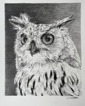 Rule 34 | animal, animal focus, bengal eagle-owl, bird, commentary, david salter, english commentary, greyscale, highres, monochrome, no humans, original, owl, photo-referenced, photo (medium), photorealistic, realistic, signature, traditional media
