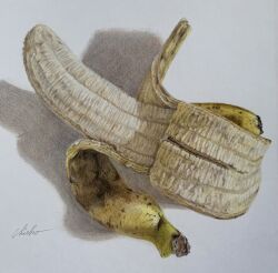 banana banana_peel chie_t19690428 colored_pencil_(medium) food food_focus fruit highres no_humans object_focus original photorealistic realistic signature still_life traditional_media white_background