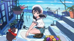 1girl animal black_hair blue_flower blue_sailor_collar blue_shorts blue_sky boots brown_boots cloud commentary_request day dog flower full_body hanging_plant hat highres house looking_at_viewer low_twintails ocean original plant potted_plant red_scarf sailor_collar sailor_hat sailor_shirt scarf shirt short_sleeves shorts sky solo squatting stairs streetcar takaichi_(tkch) twintails water white_hat wind window yellow_flower