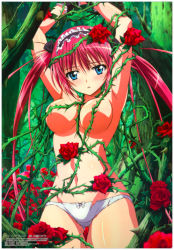 airi_(queen&#039;s_blade) airi_(the_infernal_temptress) areola_slip blue_eyes bow bow_panties breasts flower gluteal_fold groin large_breasts linea_alba navel non-web_source panties parted_lips pink_hair plant red_flower red_rose rose tagme thorns topless_female toplesss torn_clothes torn_panties twintails underwear vines white_panties