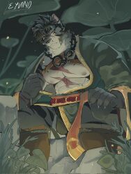 1boy abs animal_ears artist_name bara black_fur black_hair cat_nose closed_mouth commentary english_commentary eyvindisdumb furry furry_male green_robe highres looking_at_viewer looking_down male_focus muscular muscular_male nipples pectorals robe scar scar_on_chest scar_on_face scar_on_nose sdorica sitting tiger_boy tiger_ears tiger_stripes yao_(sdorica)