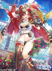 1girl age_of_ishtaria bird gambe groin hat highres parrot pirate pirate_hat pirate_ship red_eyes source_request tagme