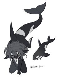 1girl animal black_sclera black_skin cetacean_tail colored_sclera colored_skin fins fish_tail full_body grey_eyes grey_hair highres looking_at_viewer monster_girl orca orca_girl original pointy_ears ringed_eyes sharp_teeth short_hair simple_background solo tail teeth torori_toro_(oimo_kenpi) white_background