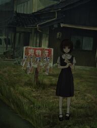 Rule 34 | 000v666, 1girl, black dress, black hair, black shoes, closed mouth, dress, grass, highres, house, looking at viewer, mary janes, original, outdoors, pinafore dress, shirt, shoes, short sleeves, sign, sleeveless, sleeveless dress, socks, solo, standing, white shirt, white socks, wide shot