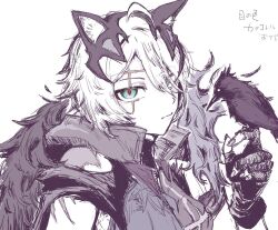 animal_ears aqua_hair arknights bird cat_ears closed_mouth crow fingerless_gloves gloves high_collar looking_at_viewer millscar_(arknights) raze717015 scar scar_on_face white_hair
