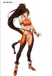 1girl dungeon_fighter_online female_fighter_(dungeon_and_fighter) highres midriff navel ryunmei source_request tagme