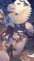 1girl bird black_boots boots braid cloud commentary_request dress feathered_wings from_behind full_body full_moon grey_jacket half_up_braid hand_to_own_mouth highres jacket kishin_sagume little_egret long_sleeves looking_at_viewer looking_back moon night oito_(bowstringsmall) outdoors purple_dress purple_eyes single_wing solo standing touhou twitter_username white_bird white_wings wings