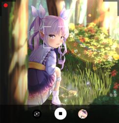 1girl absurdres artist_self-reference bad_id bad_pixiv_id blue_panties blush bow bow_panties elf embarrassed fake_phone_screenshot fake_screenshot fang flower forest from_behind gachigachi grass hair_bow highres japanese_clothes kyoka_(princess_connect!) loli long_hair long_sleeves looking_at_viewer looking_back nature open_mouth outdoors panties panties_around_leg pee peeing pointy_ears princess_connect! purple_bow purple_eyes purple_hair recording sandals socks squatting striped_clothes striped_panties sweat tree twintails underwear viewfinder white_socks