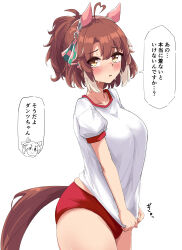 2girls absurdres animal_ears bow breasts brown_hair buruma commentary_request dantsu_flame_(umamusume) ear_covers ear_ribbon gryebooks gym_shirt gym_uniform highres hishi_miracle_(umamusume) horse_ears horse_girl large_breasts looking_at_viewer multicolored_hair multiple_girls red_buruma shirt short_sleeves speech_bubble translation_request two-tone_hair umamusume white_shirt yellow_eyes