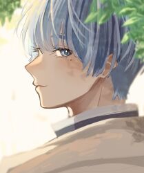 1boy bai_mei blue_eyes blue_hair closed_mouth commentary eyelashes hashtag-only_commentary highres himmel_(sousou_no_frieren) looking_back male_focus outdoors plant popped_collar profile short_hair smile solo sousou_no_frieren tree upper_body