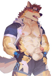 1boy abs animal_ears bara bare_pectorals barrel_(cool_gunfighter)_(live_a_hero) barrel_(live_a_hero) beige_fur blue_male_swimwear blush brown_fur cowboy_shot dog_boy dog_ears dog_tail flaccid foreskin furry furry_male goggles goggles_on_head highres jacket large_pectorals live_a_hero looking_at_viewer male_focus male_swimwear muscular muscular_male nipples nose_blush official_alternate_costume open_clothes open_jacket orange_fur pectorals penis seato-hao short_hair solo stomach swim_briefs tail thick_thighs thighs uncensored
