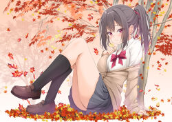 Rule 34 | 1girl, arm support, autumn, autumn leaves, black hair, black skirt, black socks, blush, bow, bowtie, breast suppress, breasts, brown cardigan, brown shoes, cardigan, clenched hand, closed mouth, collared shirt, commentary request, eyes visible through hair, falling leaves, from side, full body, hair between eyes, hair ribbon, hand up, highres, kneehighs, knees together feet apart, knees up, large breasts, leaf, legs, loafers, long hair, looking at viewer, maple leaf, miniskirt, open cardigan, open clothes, original, outdoors, partially unbuttoned, pleated skirt, ponytail, red bow, red bowtie, red eyes, red ribbon, ribbon, school uniform, shirt, shoes, sidelocks, sitting, skirt, sleeves past wrists, socks, solo, thighs, tomosuke, white shirt
