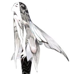 1girl arthropod_girl closed_mouth commentary completely_nude cow eyelashes fingernails flower frown grey_hair hair_wings highres insect_wings leaning_forward long_hair looking_at_viewer mole mole_on_cheek mole_on_neck mole_under_eye multicolored_hair nude opood original pale_skin sharp_fingernails short_eyebrows sideways_glance simple_background solo streaked_hair very_long_hair white_background wings