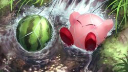 absurdres afloat blush_stickers closed_eyes colored_skin food fruit grass highres kirby kirby_(series) net nintendo no_humans pink_skin shiburingaru water watermelon