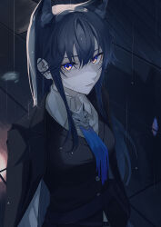 1girl absurdres animal_ear_fluff animal_ears arknights black_hair black_jacket breasts closed_mouth collared_shirt hair_between_eyes highres jacket jacket_on_shoulders long_hair looking_at_viewer naruse_azusa purple_eyes rain shirt small_breasts solo texas_(arknights) texas_the_omertosa_(arknights) very_long_hair wet wet_hair white_shirt